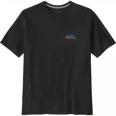 patagonia T