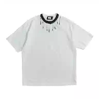 PINSCIO ZENIE T