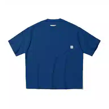 PIN SKTBS T