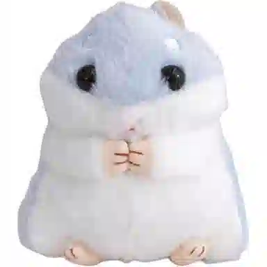 FKOFR 10cm