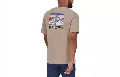 patagonia Responsibili-Tee Logo T