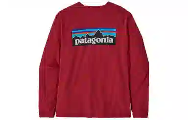 patagonia P-6 Logo Responsibili-Tee T