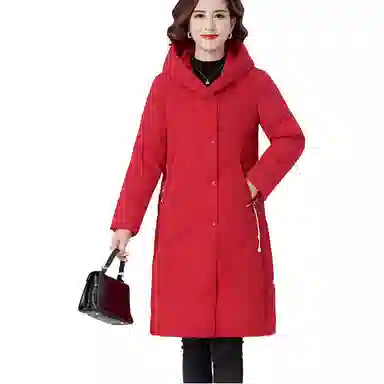 鸭鸭 纯色时尚休闲连帽宽松简约长袖羽绒服 女款