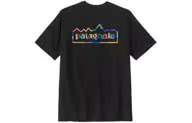 patagonia Unity Fitz Responsibili-Tee T
