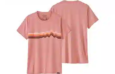 patagonia T