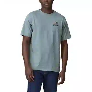 patagonia T