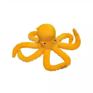 30cm50cm