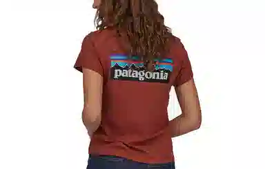 patagonia P-6 LOGO RESPONSIBILI T