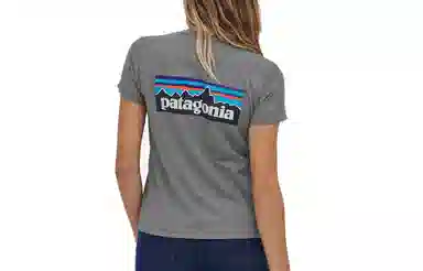 patagonia P-6 LOGO RESPONSIBILI T