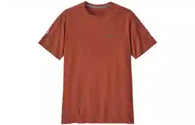 Patagonia Logo T-Shirt