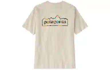 patagonia Unity Fitz Responsibili-Tee T