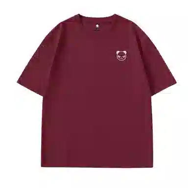 HIPANDA T