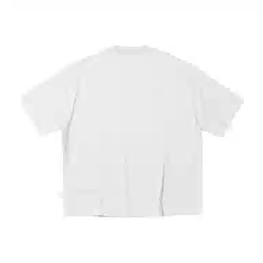PIN SKTBS T