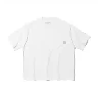 PIN SKTBS T
