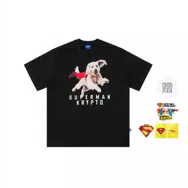 WHOOSIS SUPERMAN KRYPTOT