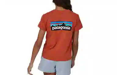 patagonia P-6 LOGO RESPONSIBILI T