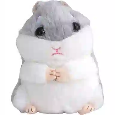 FKOFR 10cm