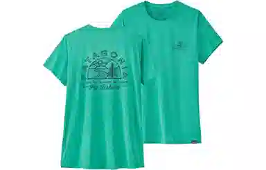patagonia T