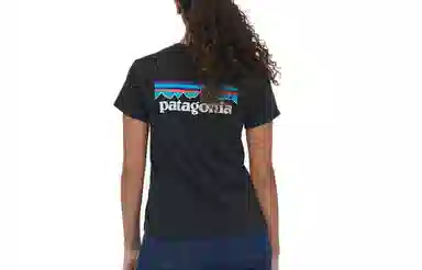 patagonia P-6 LOGO RESPONSIBILI T