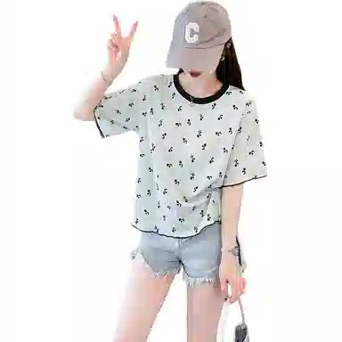 LAKESI inst T