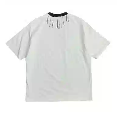 PINSCIO ZENIE T