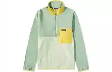 Patagonia Microdini Pullover