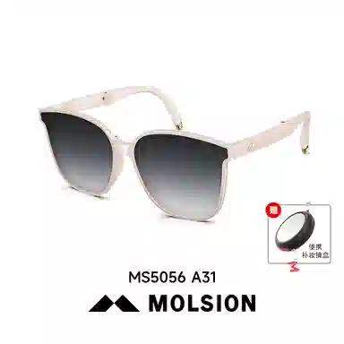 MOLSION
