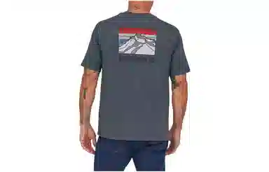 patagonia Responsibili-Tee Logo T