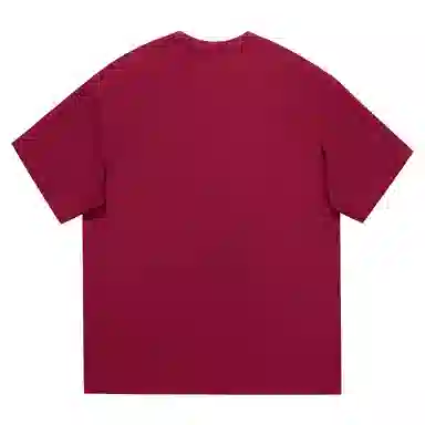 Lightning X Storm LogoT