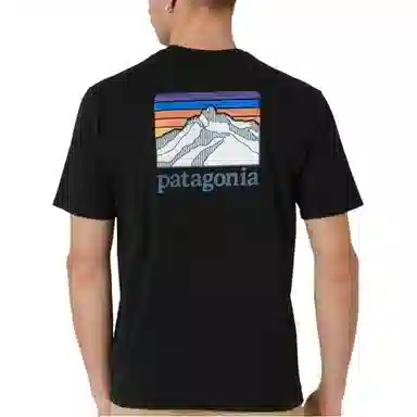 patagonia Responsibili-Tee Logo T