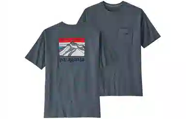 patagonia Responsibili-Tee Logo T