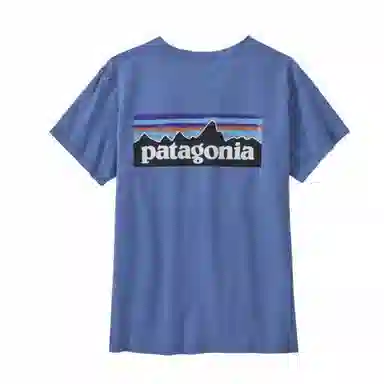patagonia P-6 LOGO RESPONSIBILI T