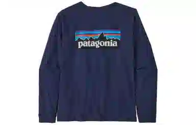 patagonia P-6 Logo Responsibili-Tee T