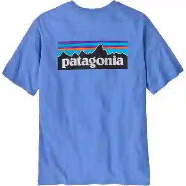 patagonia P-6 LOGO RESPONSIBILI T