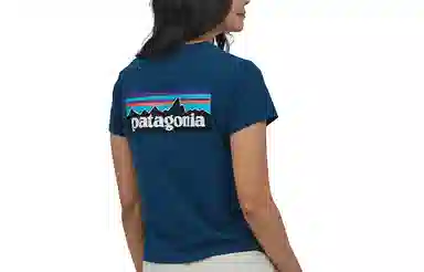 patagonia P-6 LOGO RESPONSIBILI T