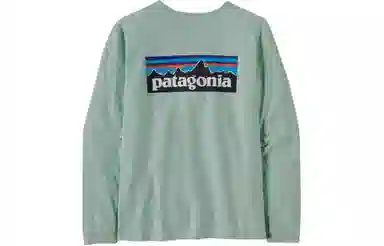 patagonia P-6 Logo Responsibili-Tee T