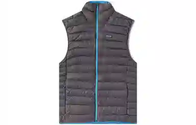 Patagonia Down Sweater Vest