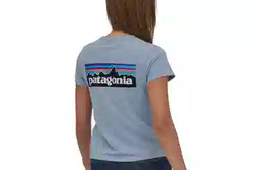 patagonia P-6 LOGO RESPONSIBILI T