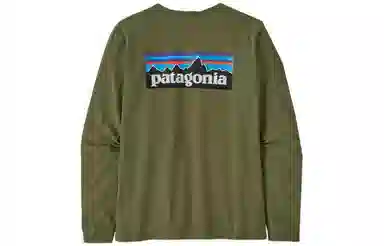 patagonia P-6 Logo Responsibili-Tee T