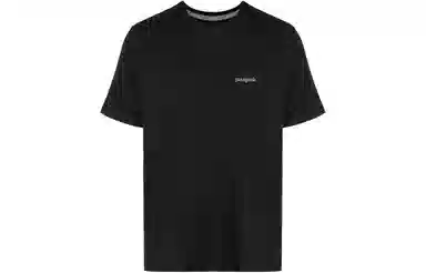 patagonia Responsibili-Tee Logo T