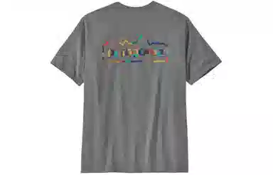 patagonia Unity Fitz Responsibili-Tee T
