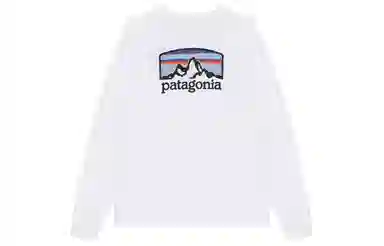 patagonia Men's Long-Sleeved Fitz Roy Horizons Responsibili-Tee LogoT