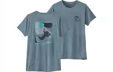 patagonia T