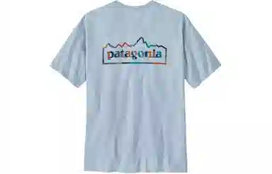 patagonia Unity Fitz Responsibili-Tee T