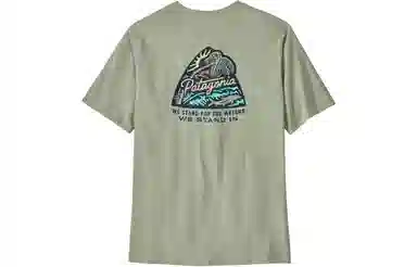 patagonia T