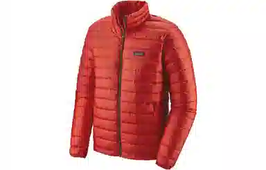 patagonia Down Sweater