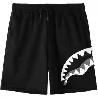 Sprayground Shorts
