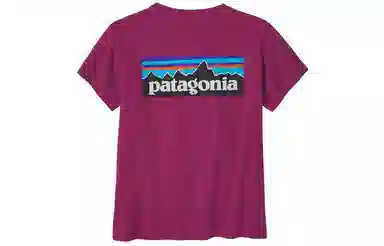 patagonia P-6 LOGO RESPONSIBILI T