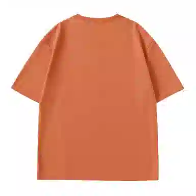 HIPANDA T