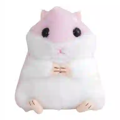 FKOFR 10cm